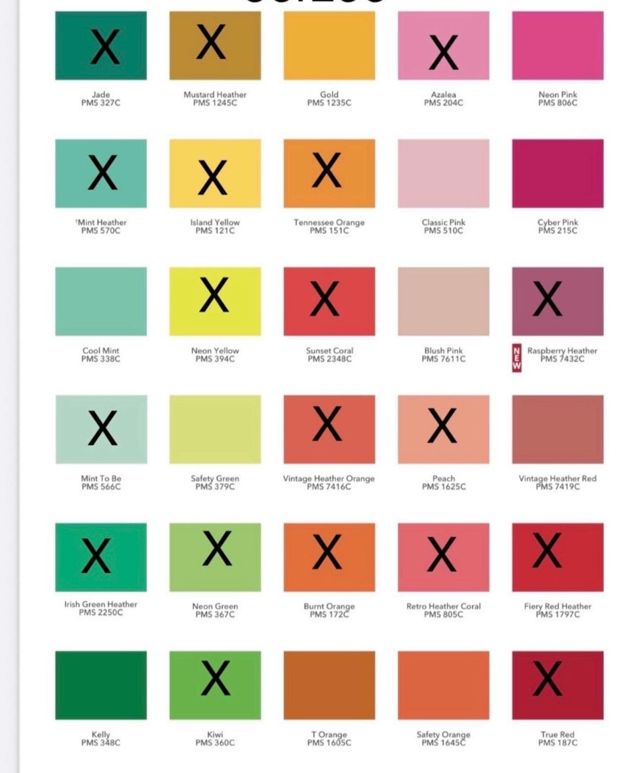 Positivity Adult Custom Tee